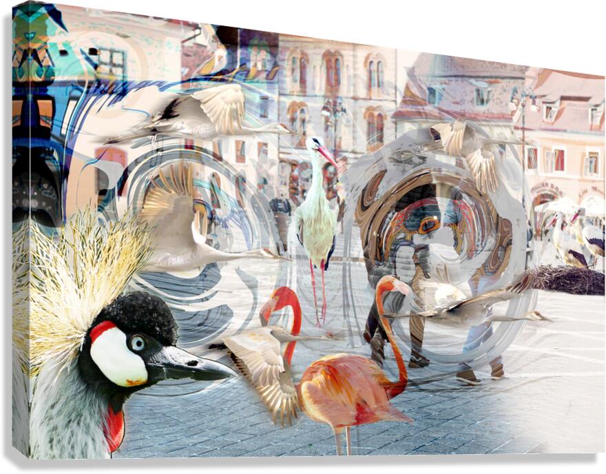 StorksTime Canvas Print