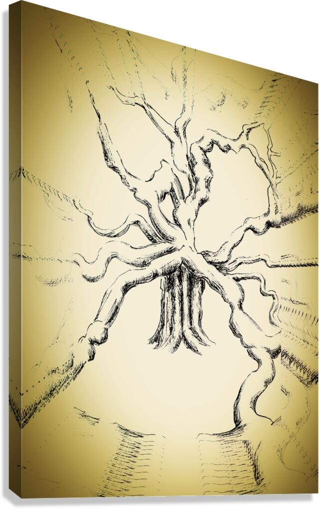 The Oldest Tree Canvas Print