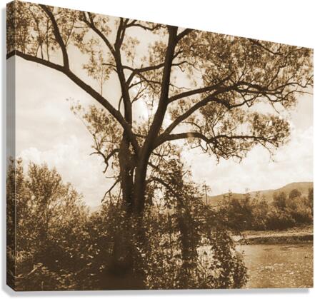 TheTreeMagGreen Canvas Print