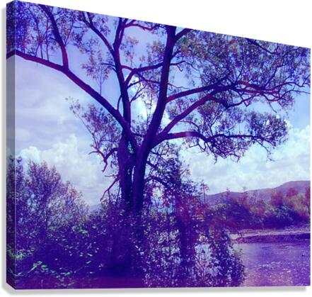 TheTreeMag Canvas Print