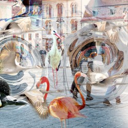 StorksTime