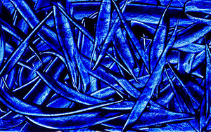 Abstract blue painting