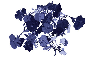 Blue Untitled