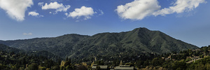Mt. Tam from Hauke Park 