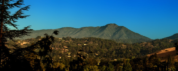 Mt Tam Summer view  Print