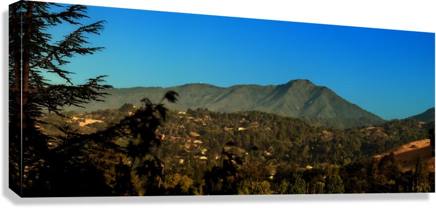 Mt Tam Summer view  Canvas Print