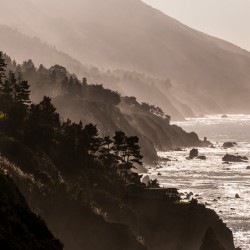 BigSur payne 4254