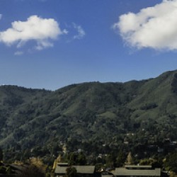 Mt. Tam from Hauke Park 