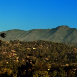 Mt Tam Summer view