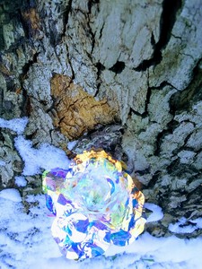 ColorRoseSnowTree