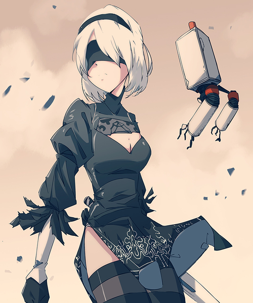 NieR Automata Print