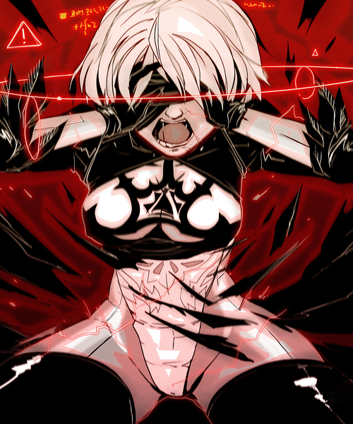 NieR Automata Print