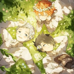 the promised neverland