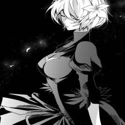 NieR Automata