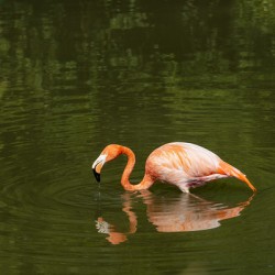 Vibrant Contrast - 2