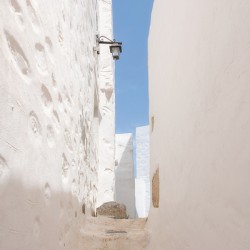 The Alley - 2
