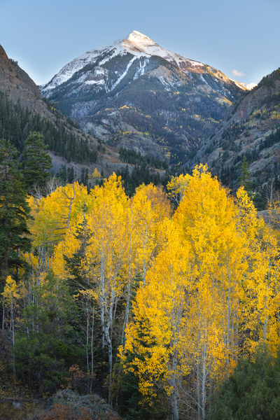 Mount Abram Gold Print