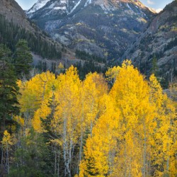 Mount Abram Gold