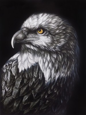 THE MAJESTIC EAGLE PORTRAIT