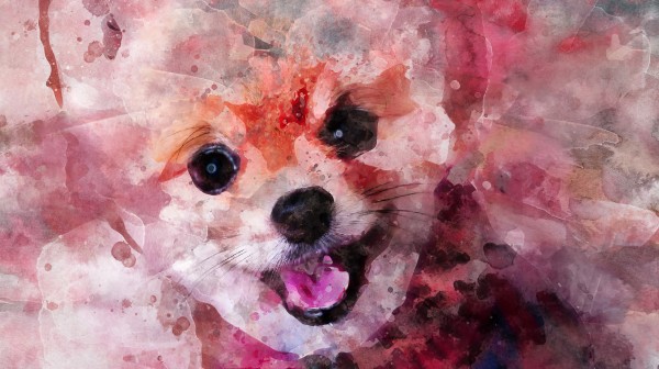 POMERANIAN DOG WATERCOLOR PORTRAIT by ASP ARTS