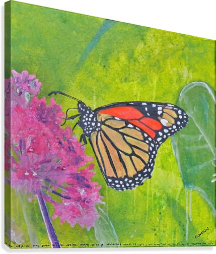monarque Canvas Print