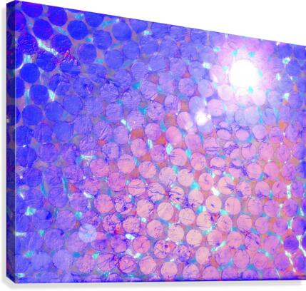 particule Canvas Print
