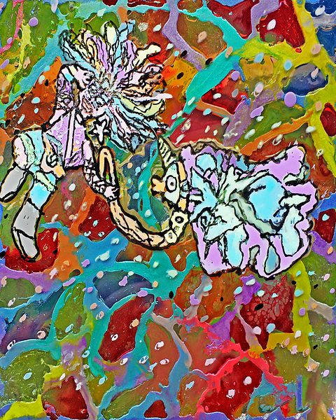 My fish knows where to go by Chromatic Verse