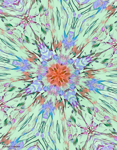 spring solstice 11 x 14 Print