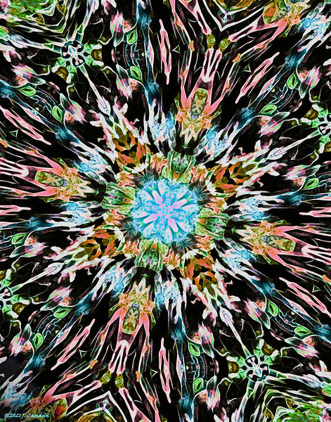 spring eclipse 11 x 14 by Chromatic Verse