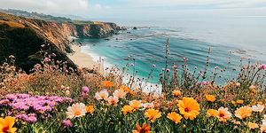 Wildflower Blooming along the Beautiful Coastline