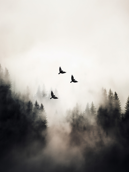 Flying Over -  3:4 ratio Print