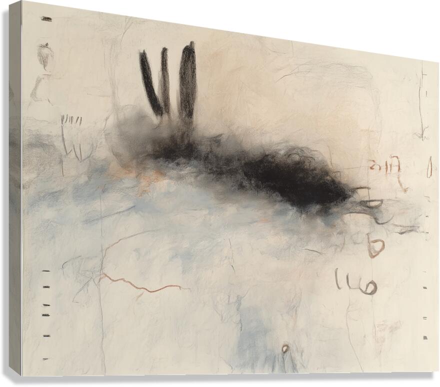 SHY RABBIT Canvas Print