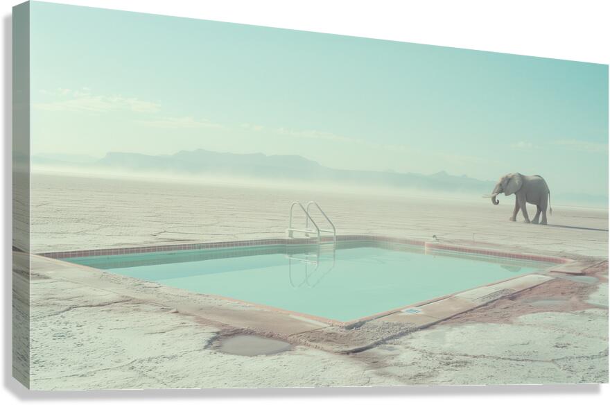 Elephant by the Pool  Canvas Print