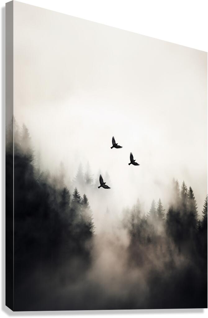 Flying Over -  3:4 ratio Canvas Print