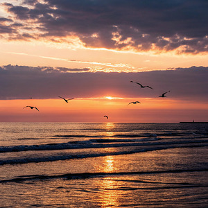  Golden Sunset Over Ocean