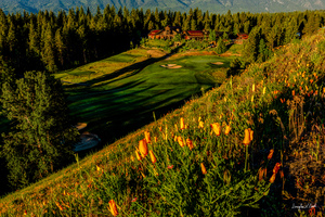 Swiftwater Cellars and Poppies