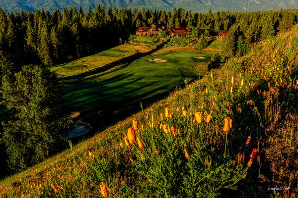 Swiftwater Cellars and Poppies Print