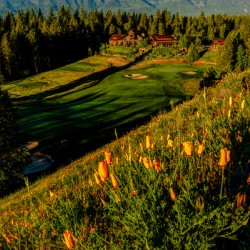 Swiftwater Cellars and Poppies