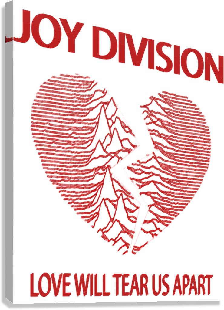 joy division 20 Canvas Print