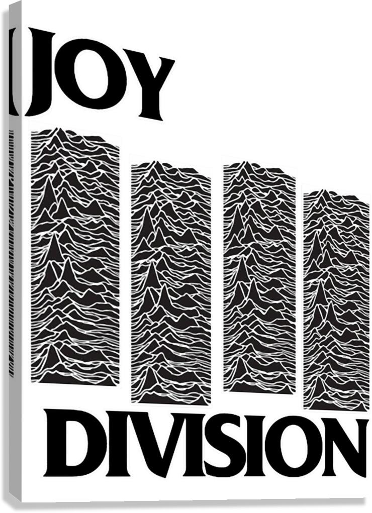 joy division 33 Canvas Print