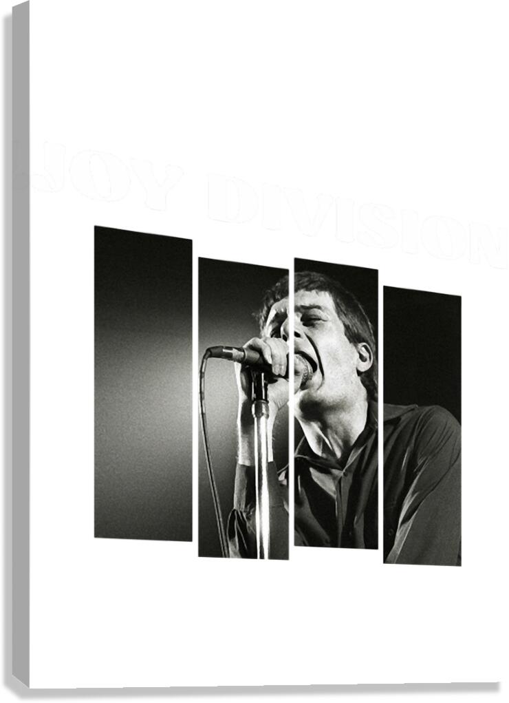 joy division 34 Canvas Print