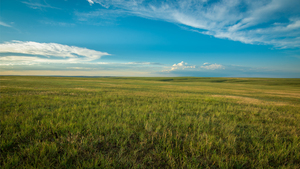 Light on the Plains 2