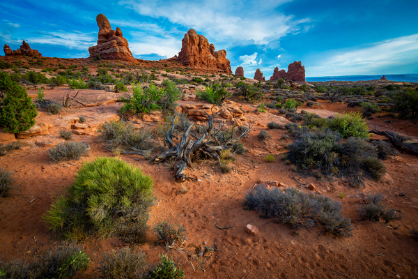 Arches Sunset View Print