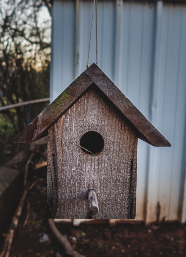 Birdhouse by CZB Photography