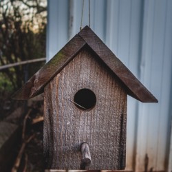 Birdhouse
