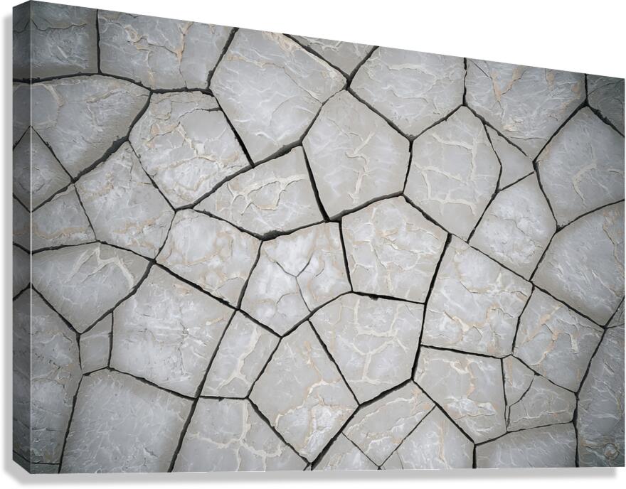 texture background with a rough surface Canvas Print