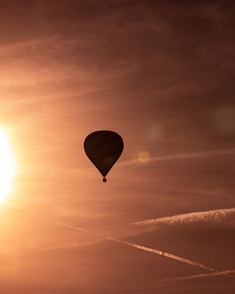 Flying Close  Print