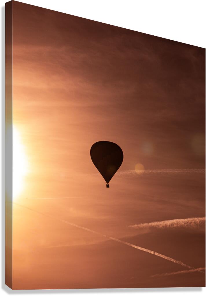 Flying Close  Canvas Print