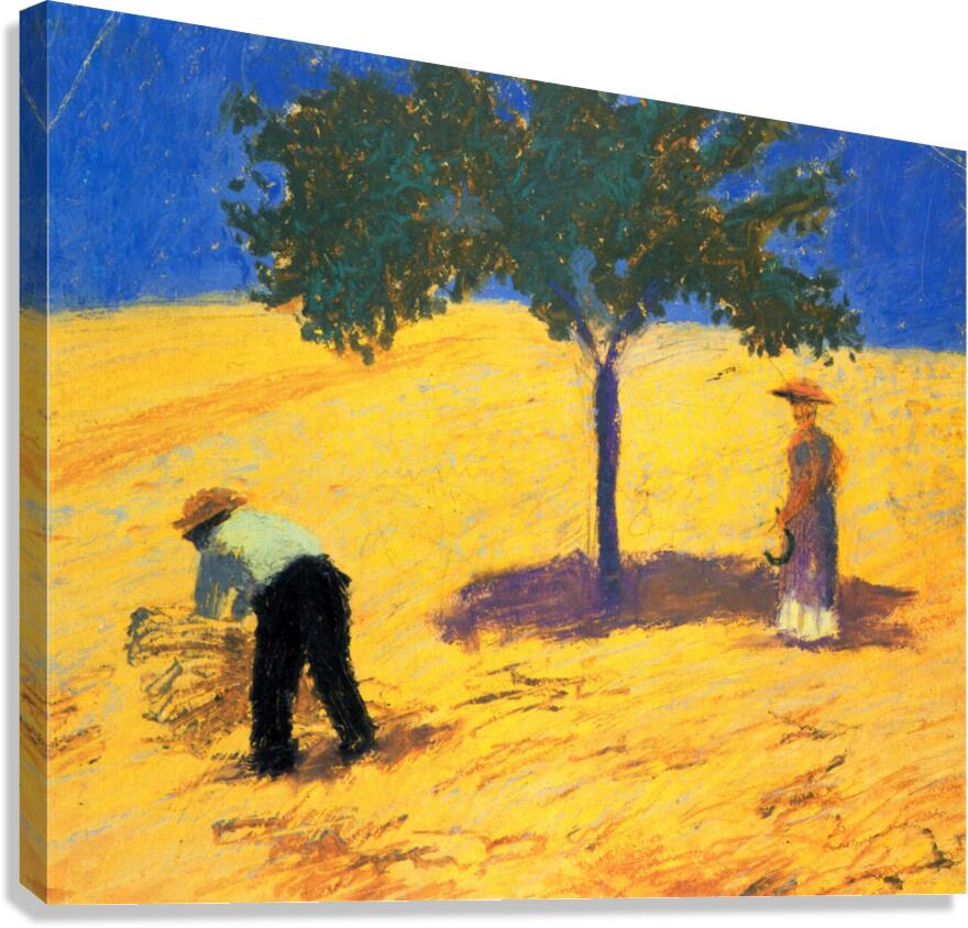 Tree in Cornfeld Canvas Print
