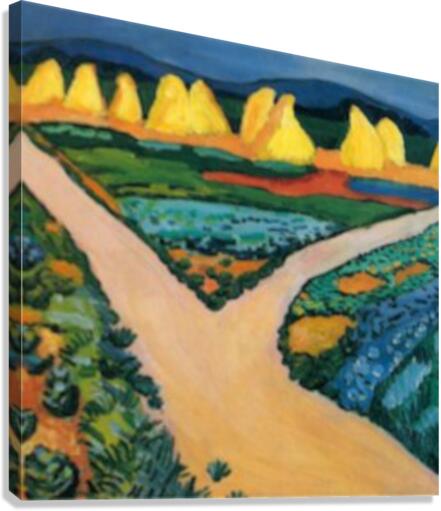Vegetable Fields Canvas Print